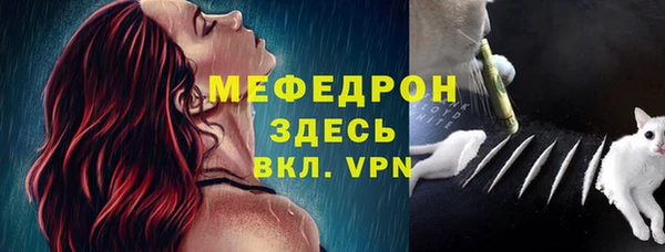 ешки Вяземский