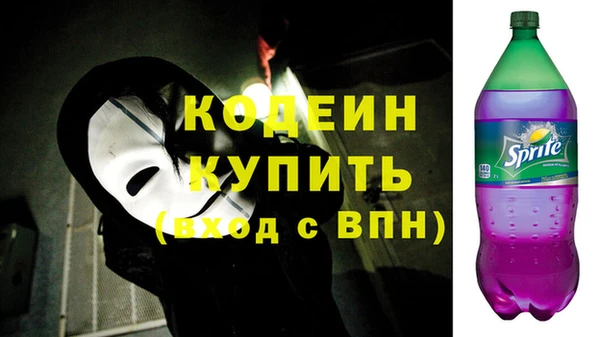 дурь Гусев