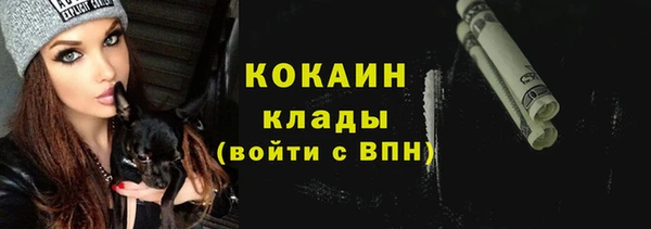 ешки Вяземский