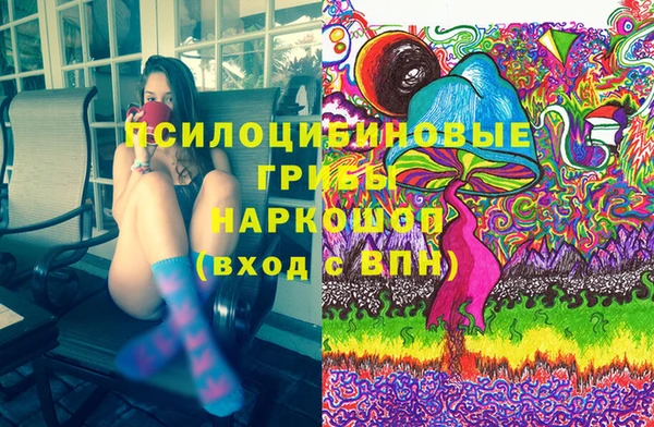 ешки Вяземский