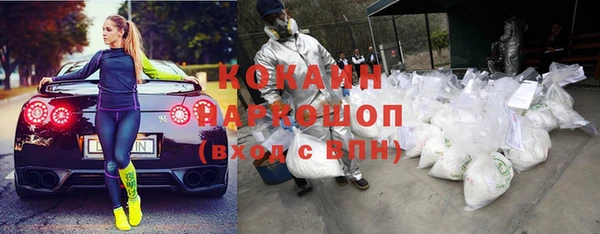 ешки Вяземский