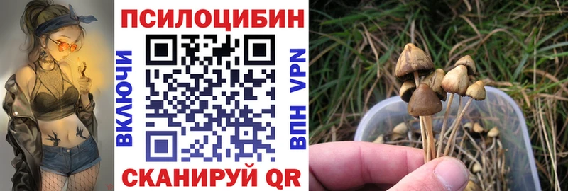 Купить где Таштагол Галлюциногенные грибы Cubensis